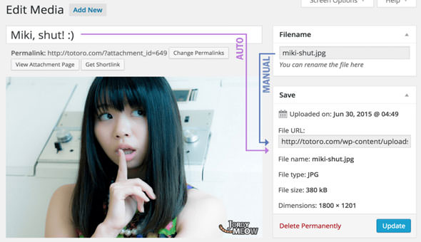 Media File Renamer Pro v5.9.4