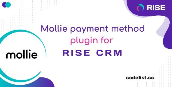 Mollie payment method for RISE CRM v1.0