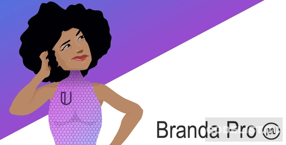 Branda Pro v3.4.18 - WordPress white label branding